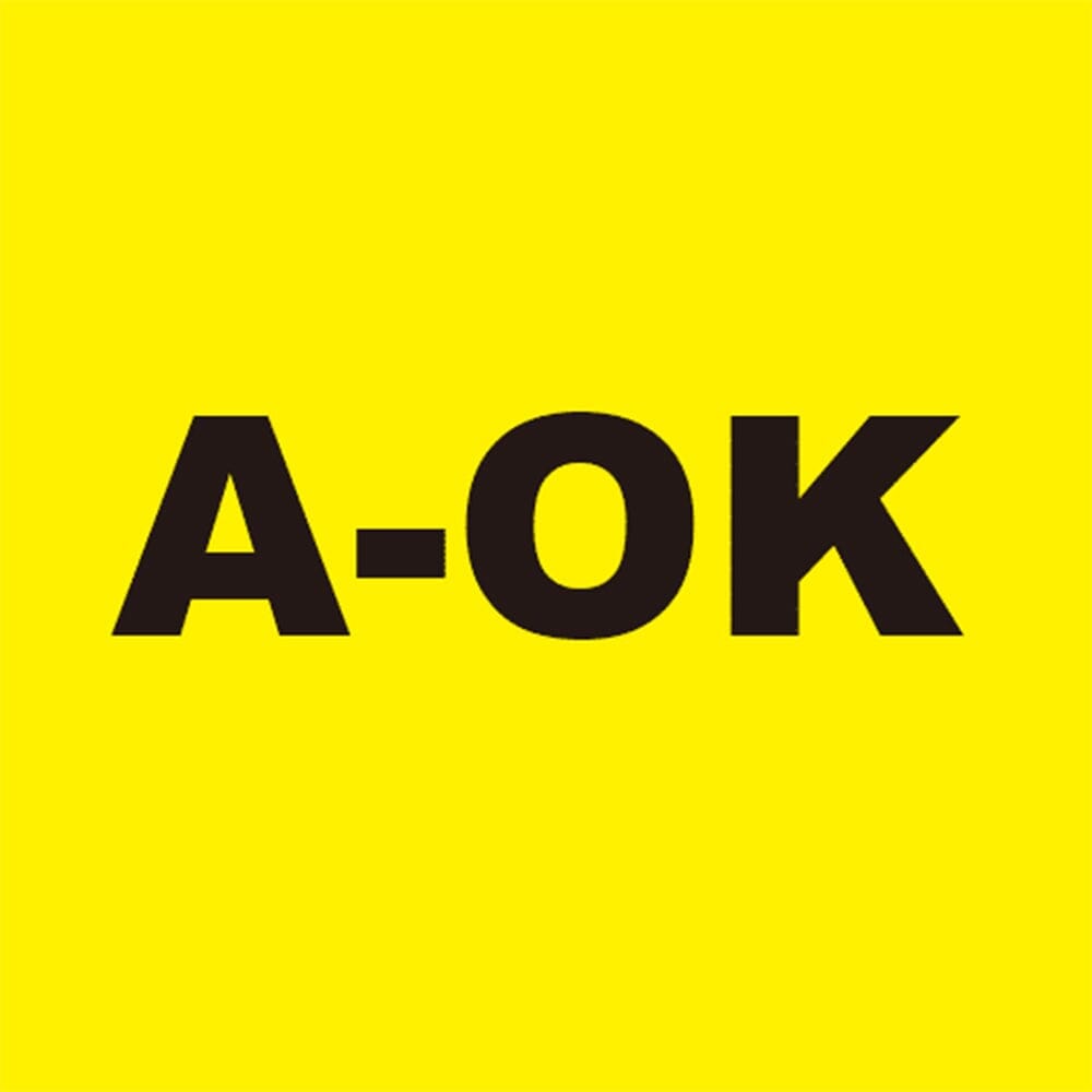 A-OK Handsender Wandsender Schalter - online kaufen